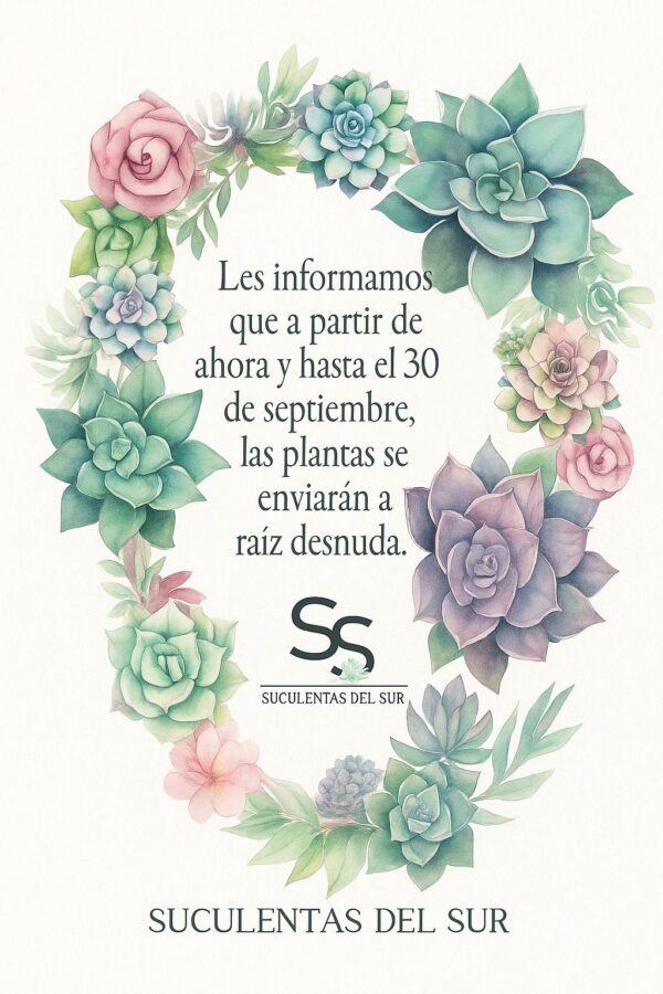 Aviso envio de plantas con raiz desnuda